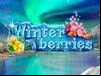 Winterberries